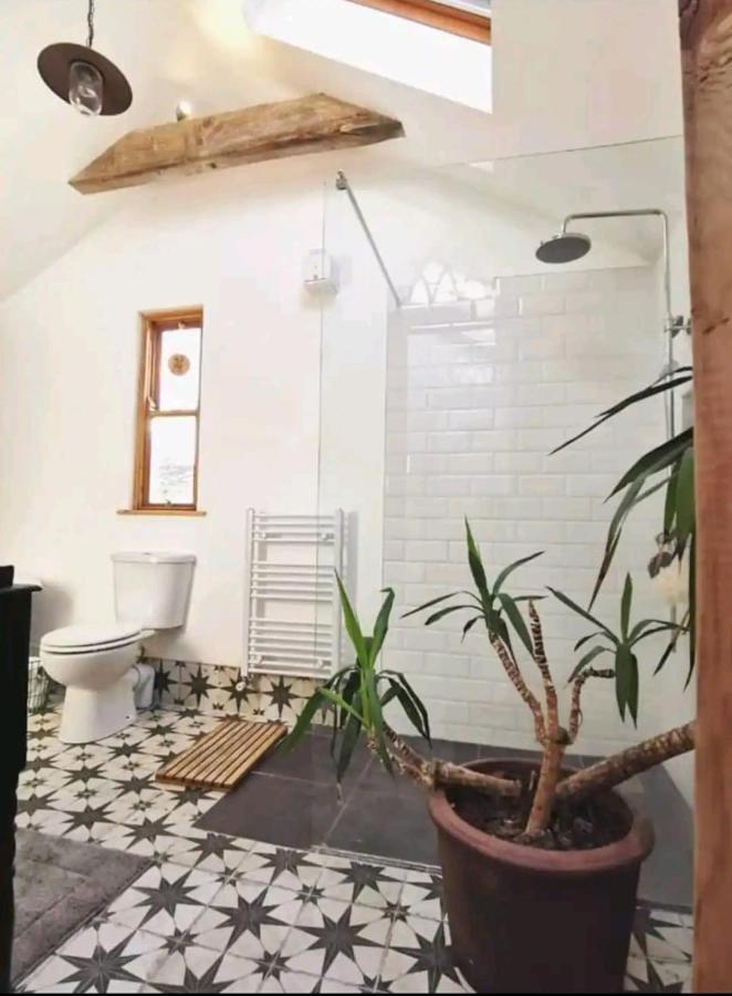 コークThe Carton Store Loft Aptアパートメント エクステリア 写真